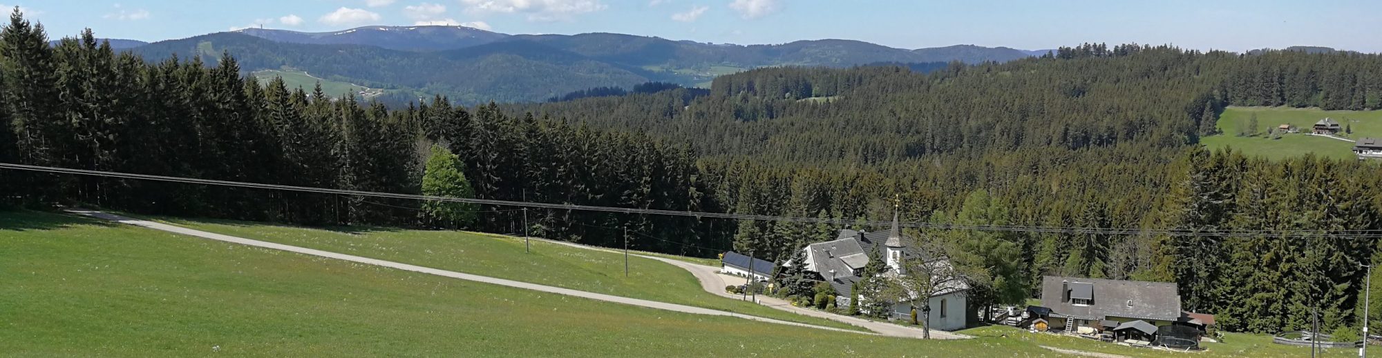 Zypresse Wandergruppe